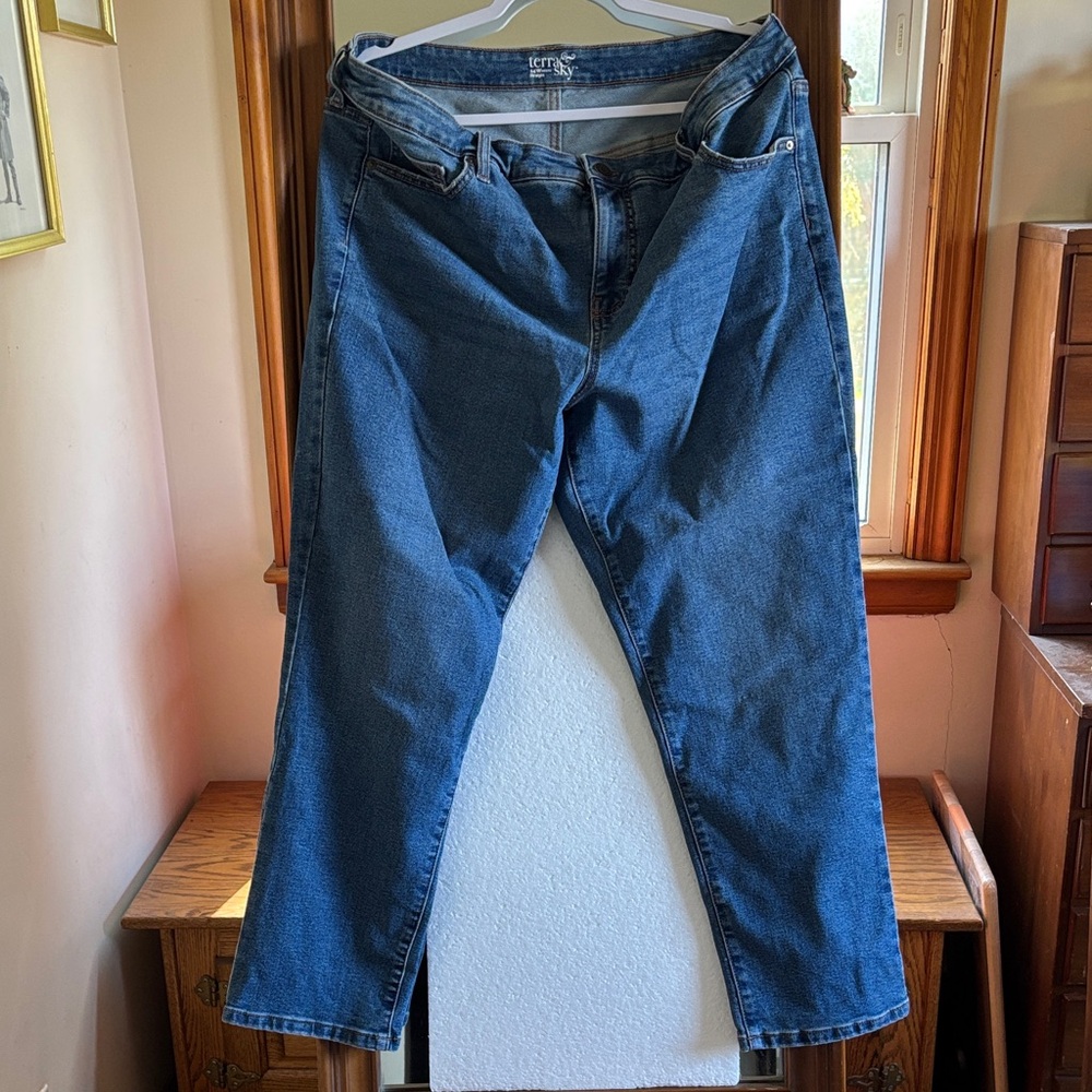 terra & SKY Women's Blue Denim Jeans 14 W Petite Good